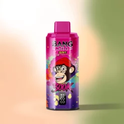 Bang Legend 300K 8-en-1 Vape Jetable Rechargeable avec Écran